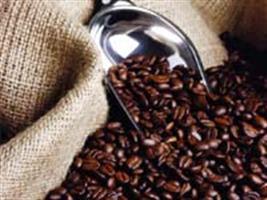 Produção de 48,59 milhões de sacas de café é a maior da baixa bienalidade