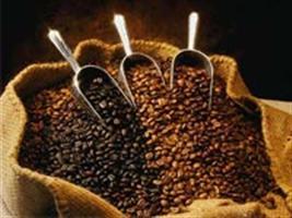 Faep: preço mínimo do café é balde de água fria