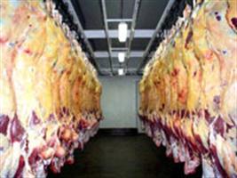 Maior demanda por carne bovina na primeira semana do mês