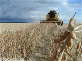 Mercado de Commodities