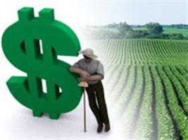 Menos de 5% dos municípios cearenses têm comissões agropecuárias