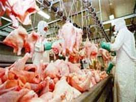 Maio registra aumento das exportações de carne de frango