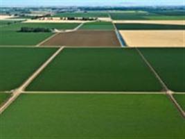 Mapeamento da agricultura de larga escala é novidade do Somabrasil
