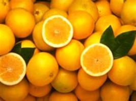 Citros/CEPEA: Procura pela fruta ainda é fraca