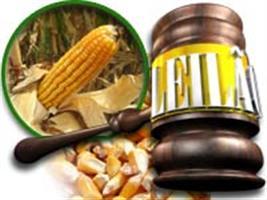 Aprosoja alerta produtores sobre leilões de milho