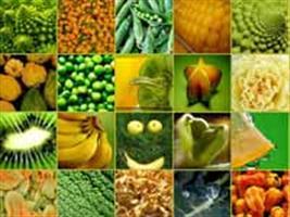 Aumenta número de produtores de orgânicos no Brasil