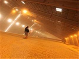 Argentina constrói “muro de soja”