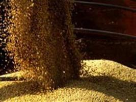 Soja: regiões da Argentina registram recorde de produtividade‏