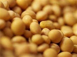 Soja operou em alta - Mercado de commodities