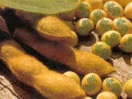 Governo quer cobrar imposto de 9,25% sobre soja