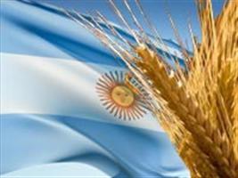​Falta de trigo argentino reduz abastecimento 