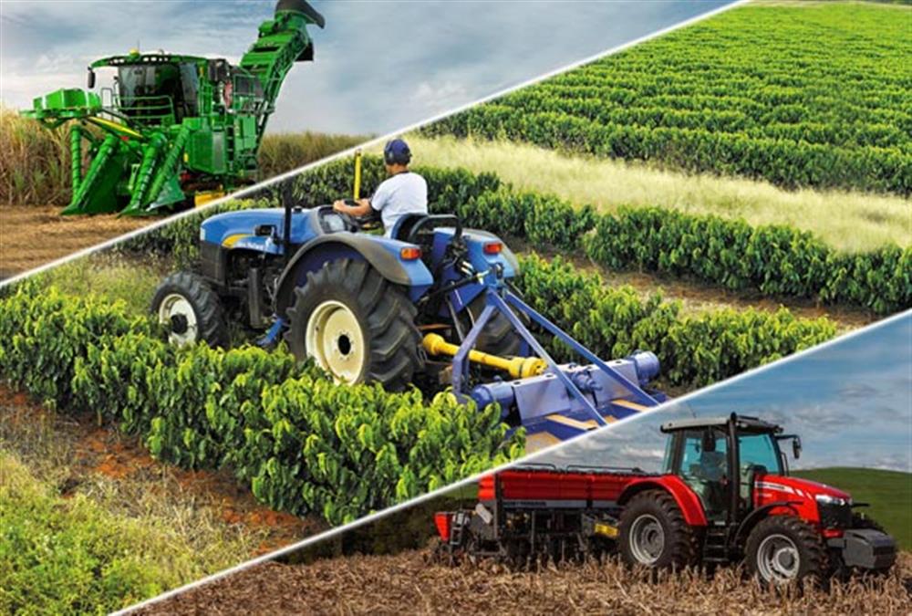 Compare O Trabalho De Cultivar Diferentes Produtos Agrícolas