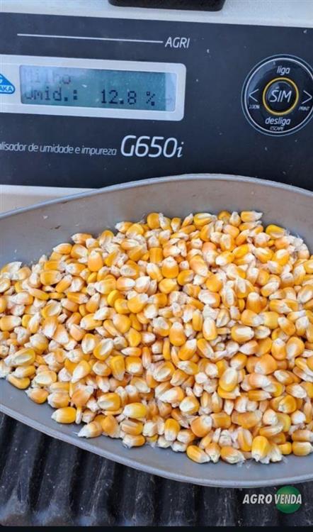 Venda de Milho,Quirela de milho moído, Farelo de 