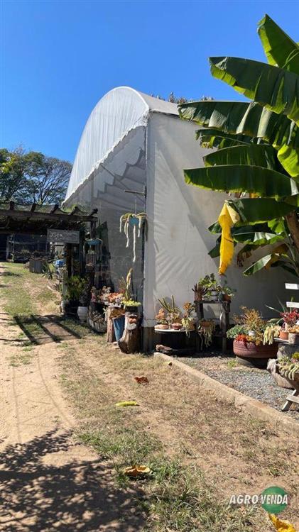 Estufa agrícola de aço galvanizado 8x15x6