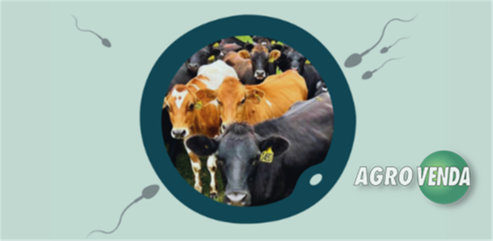 Inseminação Artificial de Bovinos