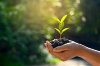 Nutrien Soluções Agrícolas