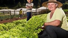 Programa Sucessão Familiar abre turma em Querência