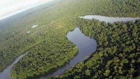 A moderna biotecnologia e o desenvolvimento da Amazônia