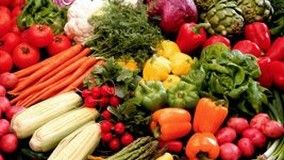 Estação Experimental da Epagri em Itajaí celebra 4