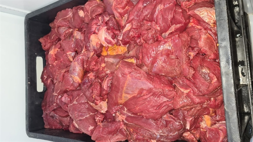 Abatedouro que vendia carne de cavalo para açougue é fechado em Minas