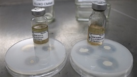 Divulgação Científica