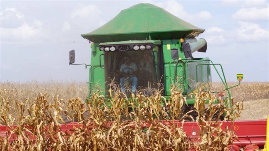Brasil también supera a Estados Unidos en maíz