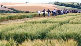 Compra externa de trigo já bateu recorde na Argentina