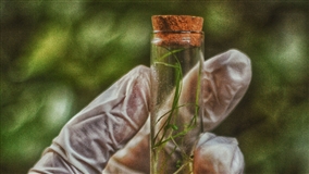 Bioinsumos