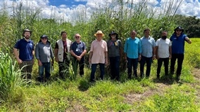 Tecnologias da Embrapa vão fortalecer agricultura no Ceará