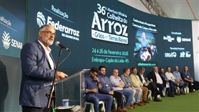 Abertura da Colheita em Capão do Leão: setor cobra reação