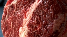 Carnes: tendências de produção no mundo e no Brasil em 2028