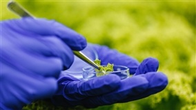 Tecnologia sustentável