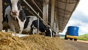 Feiras agropecuárias