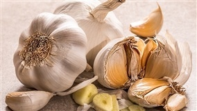 Projeto fortalece cultura do alho no ES e PR