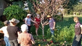 RS: tardes de campo voltadas ao manejo ocorrem em Aratiba