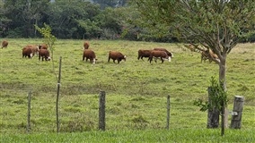 Ferramenta de simulação prevê projeção de cenários no agro