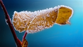 Frio, neve e geada devem ser generalizados no Brasil