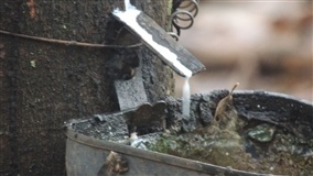 Política de preços