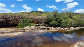 Pantanal depende da restauração de nascentes para sobreviver