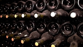 Embrapa promove curso de elaboração de vinho