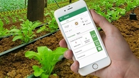 RS: parceria entre Sicredi e startup leva ferramenta de gestão para produtores da Serra gaúcha