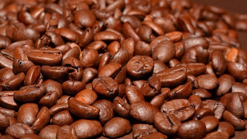 Fazenda de café especial abre as portas para visitação