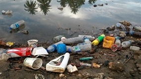 No Rio Grande do Sul