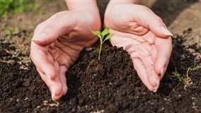 Agricultura sustentável será pauta prioritária de Maia em Londres e Dublin