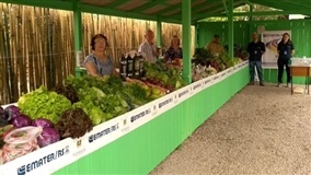 Feira Rural de Passo do Sobrado celebra 12 anos de atividade