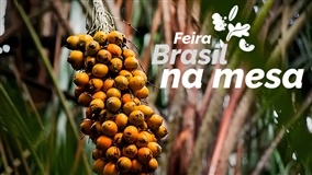 Feira agroalimentar