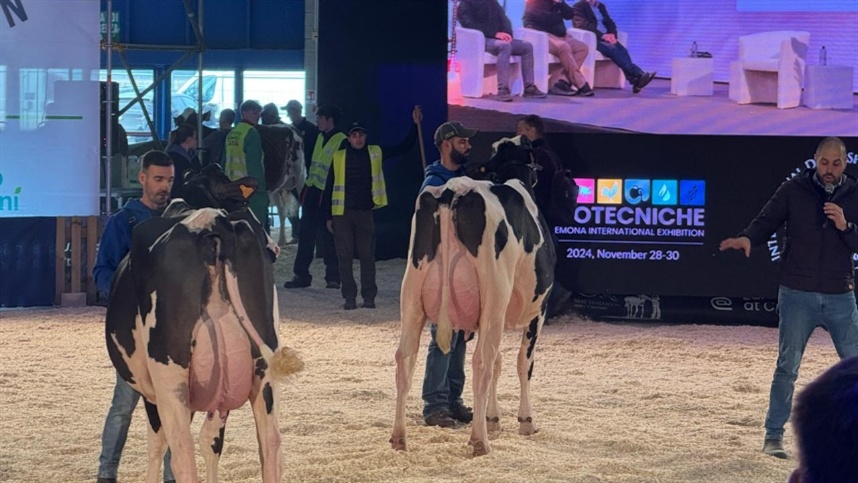 Zootecniche Cremona inicia sua 79ª edição e impulsiona o Made in Italy no mercado global