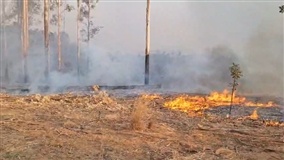 Faeg/Senar reforça prevenção contra incêndios na seca