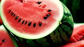 Melancia: áreas sem irrigação podem ter perdas