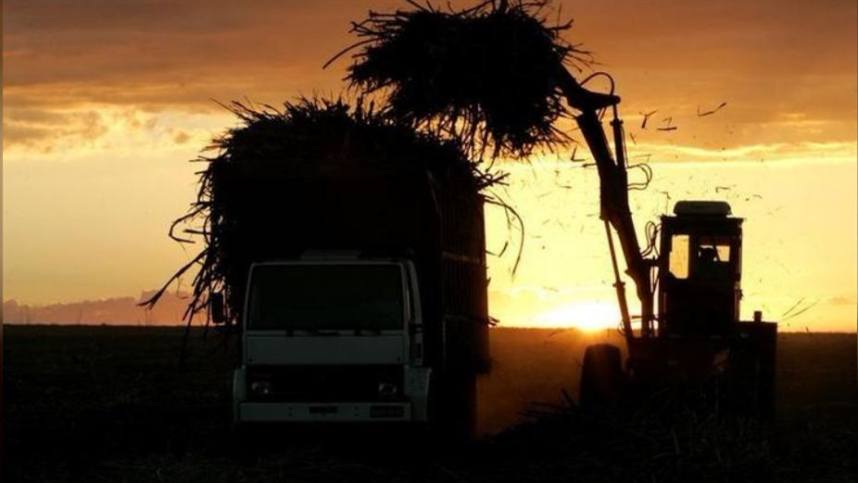 Usina do Noroeste paulista adia inauguração para 2020